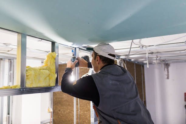 Best Residential Insulation in Dayton, IN